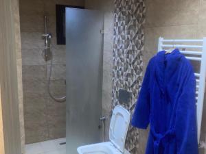 a bathroom with a shower and a toilet with a blue robe at Superbe appartement Khezama in La Corniche