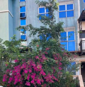a tree with pink flowers in front of a building at Meraki Palate in Entebbe