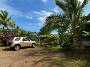 a car parked in a driveway next to a palm tree at Cabañas Anariki in Hanga Roa