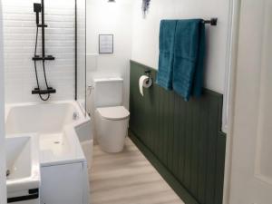 a bathroom with a toilet and a sink and a green door at Petit Vingne in Édon +18 photos