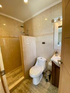 a bathroom with a toilet and a shower and a sink at Hostal Lago Ranco Boutique in Lago Ranco