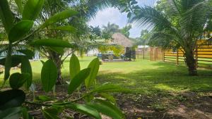 a yard with palm trees and a fence at Villa Privada 1200m2 Laguna a Pasos Pet Friendly in Xul-Ha