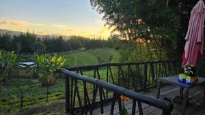 a view of a garden from a balcony at Finca La Preciosura in El Peñol +9 photos