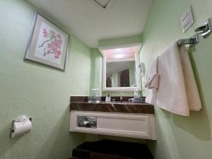 ein Badezimmer mit Waschbecken und Spiegel in der Unterkunft Hotel Acapulco Malibu in Acapulco