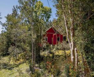 a red cabin in the middle of a forest at Cabaña Raymapu in Puelo