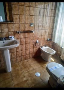 a bathroom with a sink and a toilet at Hotel Benalua in Isla de Arosa