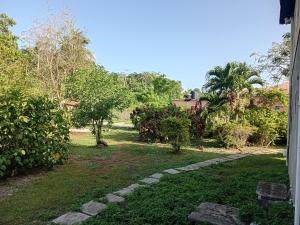 a view of a yard from a house at Cozy Room with fast Internet & Netflix in Whitehall