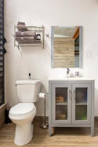 a bathroom with a toilet and a sink and a mirror at Farm Suite Bienteveo in Naranjito