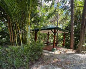 a small gazebo in the middle of a forest at Farm Suite Bienteveo in Naranjito +19 photos