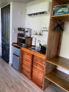 a small kitchen with a sink and a microwave at Farm Suite San Pedrito in Naranjito
