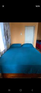 a blue bed in a room with a window at O-t on the rise in Tweedside +8 photos