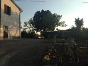 Zahrada ubytování Agriturismo I Due Pini