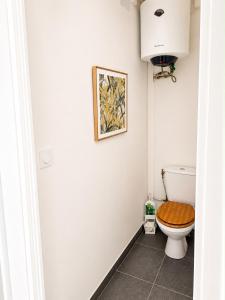 a bathroom with a toilet and a picture on the wall at Soleya Studio in Le Moule
