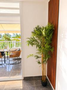 a plant in a hallway with a table and chairs at Soleya Studio in Le Moule