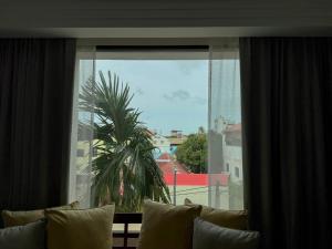 a view of a palm tree from a window at Park Hyatt Siem Reap in Siem Reap
