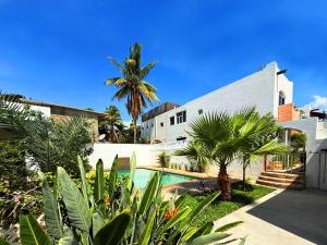 ein Haus mit Swimmingpool und Palme in der Unterkunft Bellacozenza in Cabo San Lucas