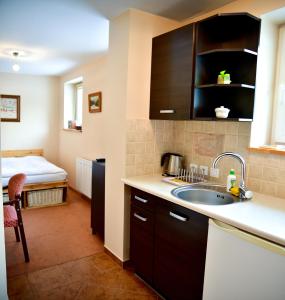 eine Küche mit einem Waschbecken und ein Bett in einem Zimmer in der Unterkunft Apartament Górski - Apartamentuj in Karpacz