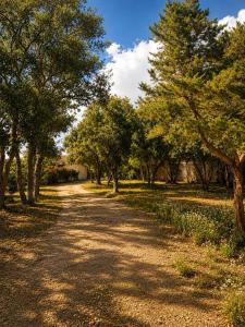 a dirt road with trees on either side at Villa SoleLuna in Bonifacio +8 photos