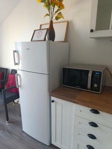 a kitchen with a white refrigerator and a microwave at Montenegro Summer time in Igalo +10 photos