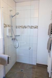a shower with a glass door in a bathroom at Ferienwohnung Land Leben in Ziertheim +12 photos