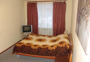 エカテリンブルクにあるApartment on Krasny Pereulok 8のベッドルーム(ベッド1台、テレビ、窓付)