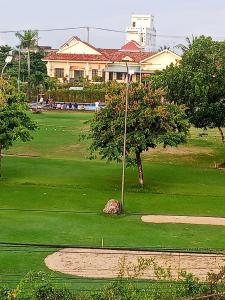 a tree in the middle of a green field at Homestay Kim Thuy in Hiếu Xương