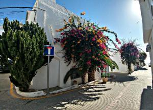 Фотография из галереи Hotel las Calas в городе Агуа-Амарга