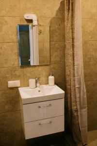 a bathroom with a white sink and a mirror at Marsas 2 in Zarasai