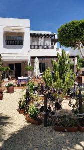 Сад в Hotel las Calas