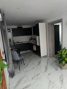 a living room with a kitchen and a table at Casa Cristyana in Orşova