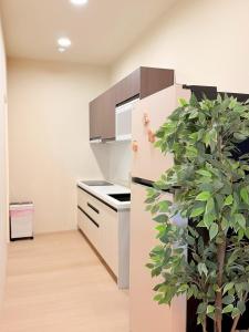 a kitchen with a refrigerator and a plant at 想睡覺民宿 in Hsia-ch'ing