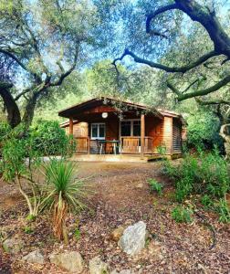 a log cabin with a porch and a tree at Les chalets du Relais d'Aguilar in Tuchan