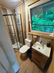 a bathroom with a toilet and a sink and a window at Kopuła in Gdynia