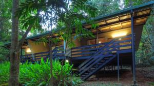 a house in the woods with a staircase leading up to it at Chambers Wildlife Rainforest Lodges in Lake Eacham