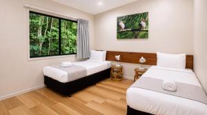 a hotel room with two beds and a window at Chambers Wildlife Rainforest Lodges in Lake Eacham