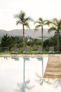 a swimming pool with three chairs and palm trees at 3Encostas in Cabeceiras de Basto