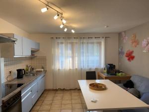 a kitchen with a counter and a table in it at Wohnen am Rande des Schwarzwaldes in Eggingen +5 photos