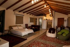 a bedroom with a bed and a living room at la noach in Metulla