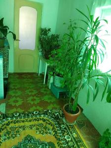 a room with potted plants and a door with a rug at Rest Hous Adis in Kyzart