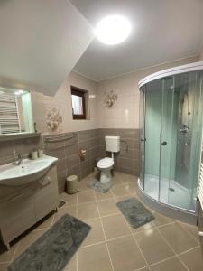 a bathroom with a shower and a toilet and a sink at Alpine Grace Retreat in Novaci-Străini +29 photos