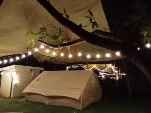 a tent is set up with lights and a tree at Riverside Glamping Resort Kanchanaburi in Kanchanaburi City +44 photos