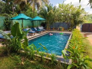 een zwembad in de achtertuin met stoelen en parasols bij Amba Kola Udawalawa in Udawalawe
