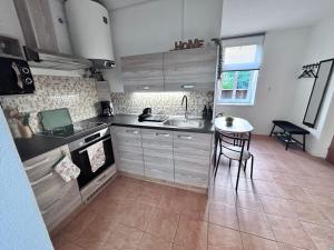 a kitchen with a sink and a table in it at Apartmán Líšný - U Jizery in Líšný