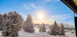 a group of trees covered in snow with the sun in the background at Studio cosy avec balcon et vue sur la montagne à Chamrousse - 19 m² in Chamrousse