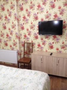 Телевизор и/или развлекательный центр в Apartment on Krasnoarmeyskaya 9