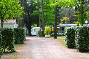 een oprit met hagen voor een huis bij Camping Le Clos Des Pins in Longeville-sur-Mer