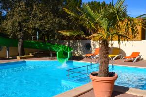 a palm tree in a large pot next to a swimming pool at Camping Le Clos Des Pins in Longeville-sur-Mer