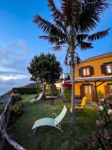 a yard with chairs and a palm tree and a house at Sea-view house in Fajã da Ovelha with garden and terrace in Fajã da Ovelha