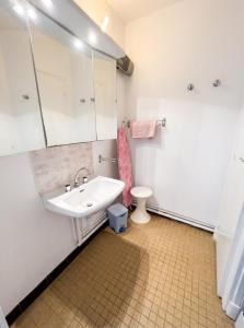 a bathroom with a sink and a toilet at Charmant studio à Néris-les-Bains de 20 m² in Néris-les-Bains