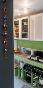 a kitchen with green walls and white cabinets at Studio cosy à Camembert - 20 m² avec terrasse et parking in Camembert